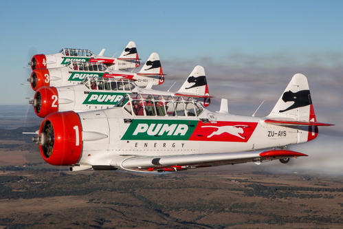Asobo T-6 Harvard - Flying Lions