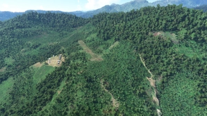31 Challenging Bush Strips in PNG thumbnail 19