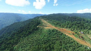 31 Challenging Bush Strips in PNG thumbnail 13