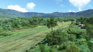 31 Challenging Bush Strips in PNG thumbnail 12