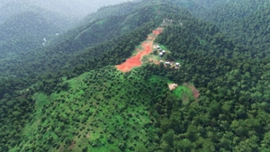 31 Challenging Bush Strips in PNG thumbnail 7