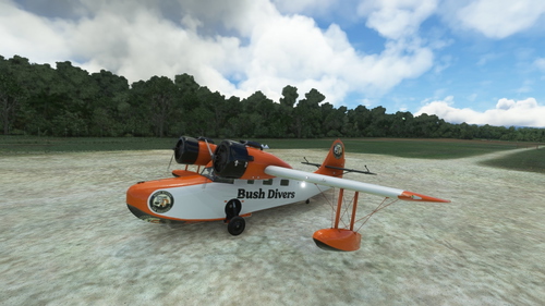 Big Radial's Grumman Goose Wheels Bush Divers Livery 