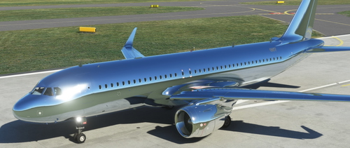 BIGLOLS CHROME BIRD