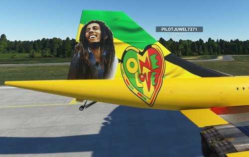 BIGLOLS MUSIC PLANE