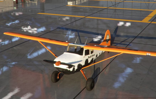 C-170B Freeware Bush Divers Livery 