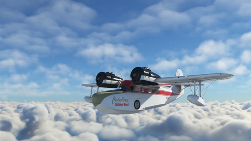 Catalina Golden West Grumman Goose Big Radials