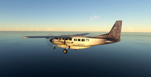 Cessna C208B Grand Caravan VirtualFlight.Online livery