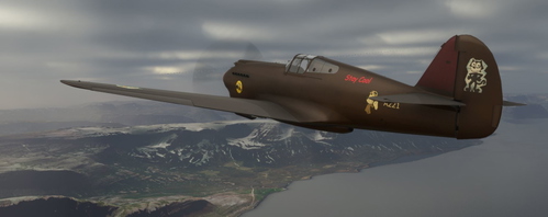 Curtiss P40 Brown Comics A221