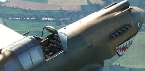 Curtiss_P40_Tomahawk thumbnail 9