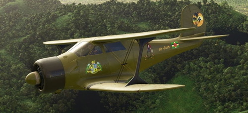 D17 Staggerwing "Rumba Banwari" 9Y-RUM