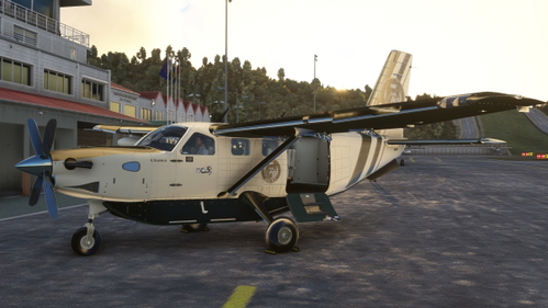 **Daiki travels Kodiak 100 II**