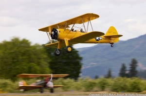 DCDesigns Boeing Stearman - US Navy N62911 livery thumbnail 11