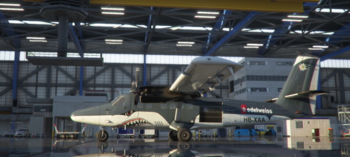de Havilland Canada DHC-6 Twin Otter HB-XAA Skydive Edelweiss Air