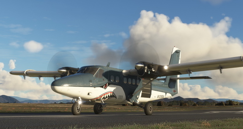 de Havilland Canada DHC-6 Twin Otter N125SA Skydive Perris