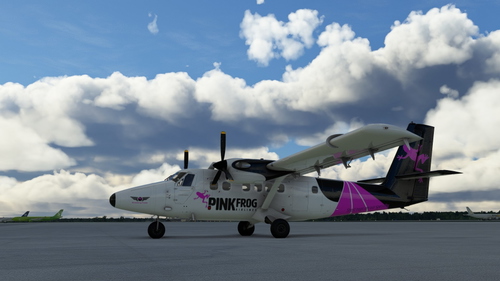 de Havilland Canada DHC-6 Twin Otter Pink Frog Airlines (REQUESTED)
