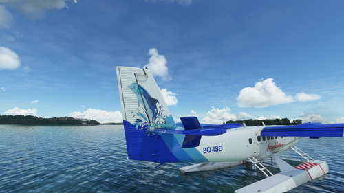 DHC-300 Floats Maldivian