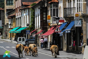 Discover Spain #1 - The Coast from San Sebastian to Vigo and back over the country thumbnail 7