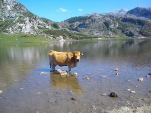 Discover Spain #1 - The Coast from San Sebastian to Vigo and back over the country thumbnail 10