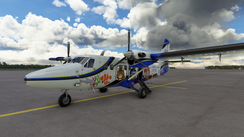 First Flying (JA202D) Mascot Livery 