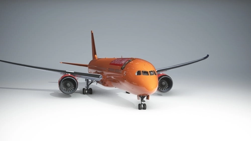 Flapster Gaming 787 Livery