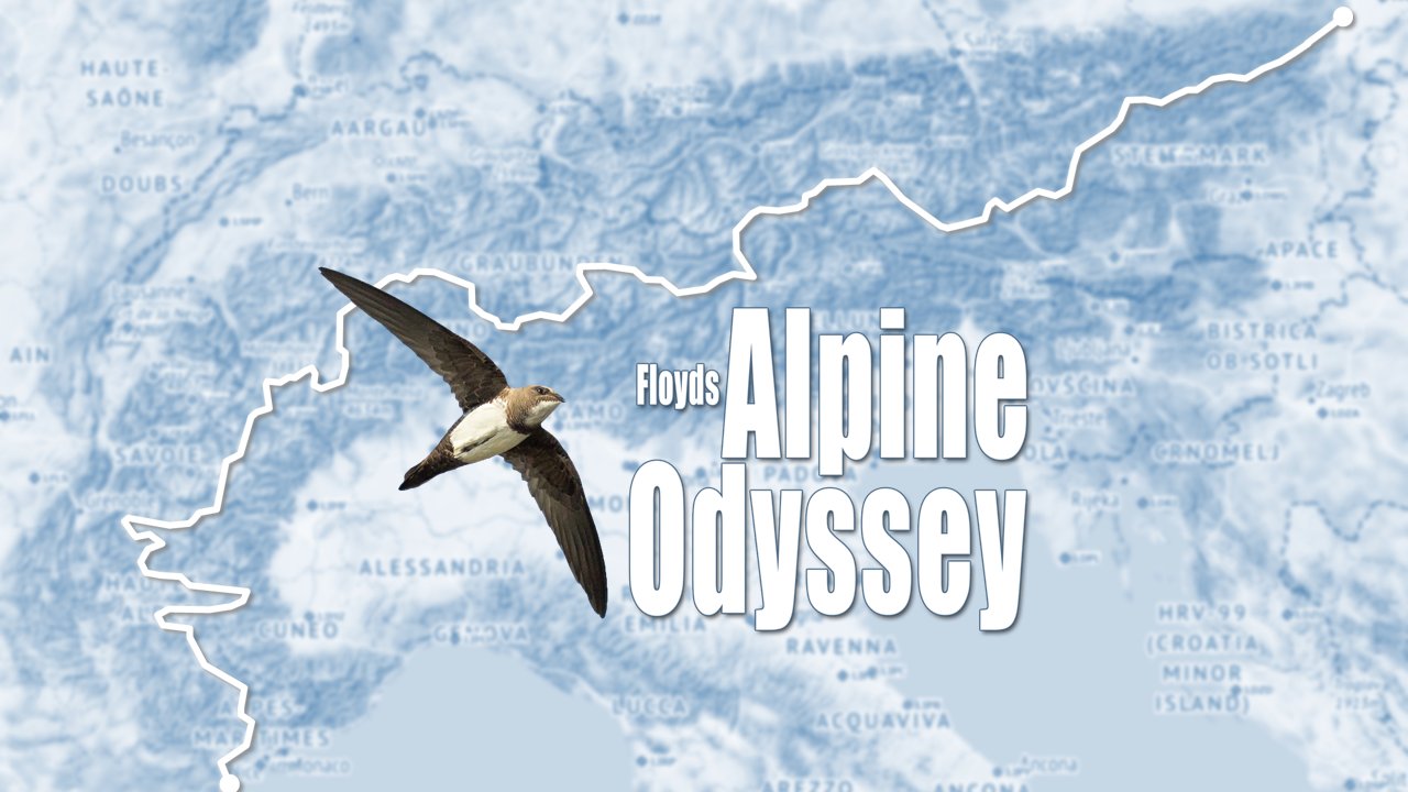 Floyds Alpine Odyssey - Image 2