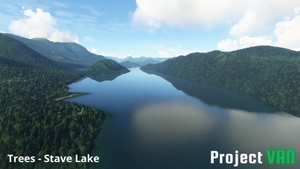 Vancouver, BC | Tree Fix thumbnail 4