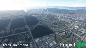Vancouver, BC | Tree Fix thumbnail 3