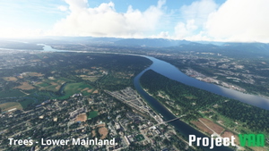 Vancouver, BC | Tree Fix thumbnail 2