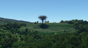 Guimaraes, Portugal Landmarks thumbnail 15