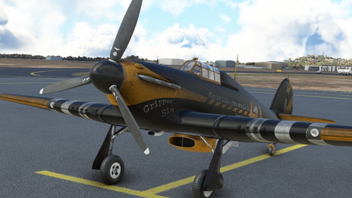 Hawker Hurricane MK I Gripper Sim Livery