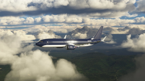 Herrick N785RH Boeing 737 Max - 8K