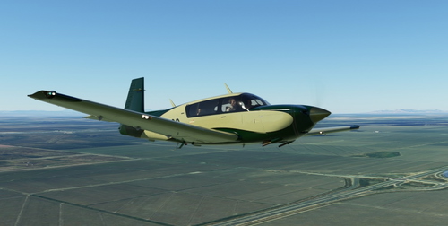 Mooney M20R in Green and Gold
