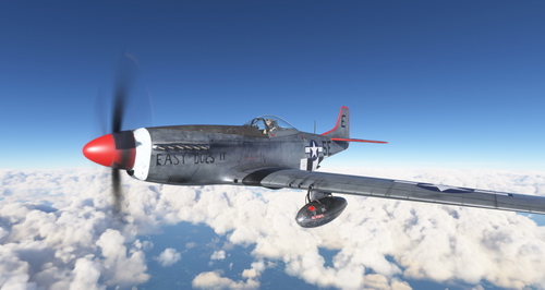 North American P-51D USAAF 1st Scouting Force 5E-E "Easy does it"