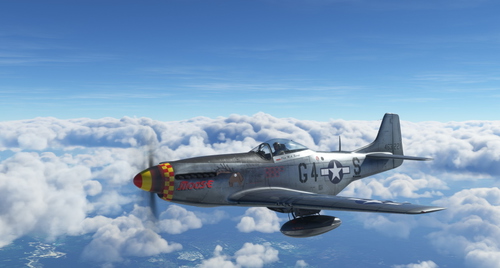 North American P-51D USAAF 357th FG G4-S "Moose"