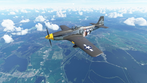 North American P-51D USAAF 361st FG E2-S