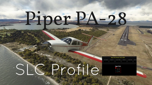 Piper PA-28 Self-Loading Cargo Cabinlayout