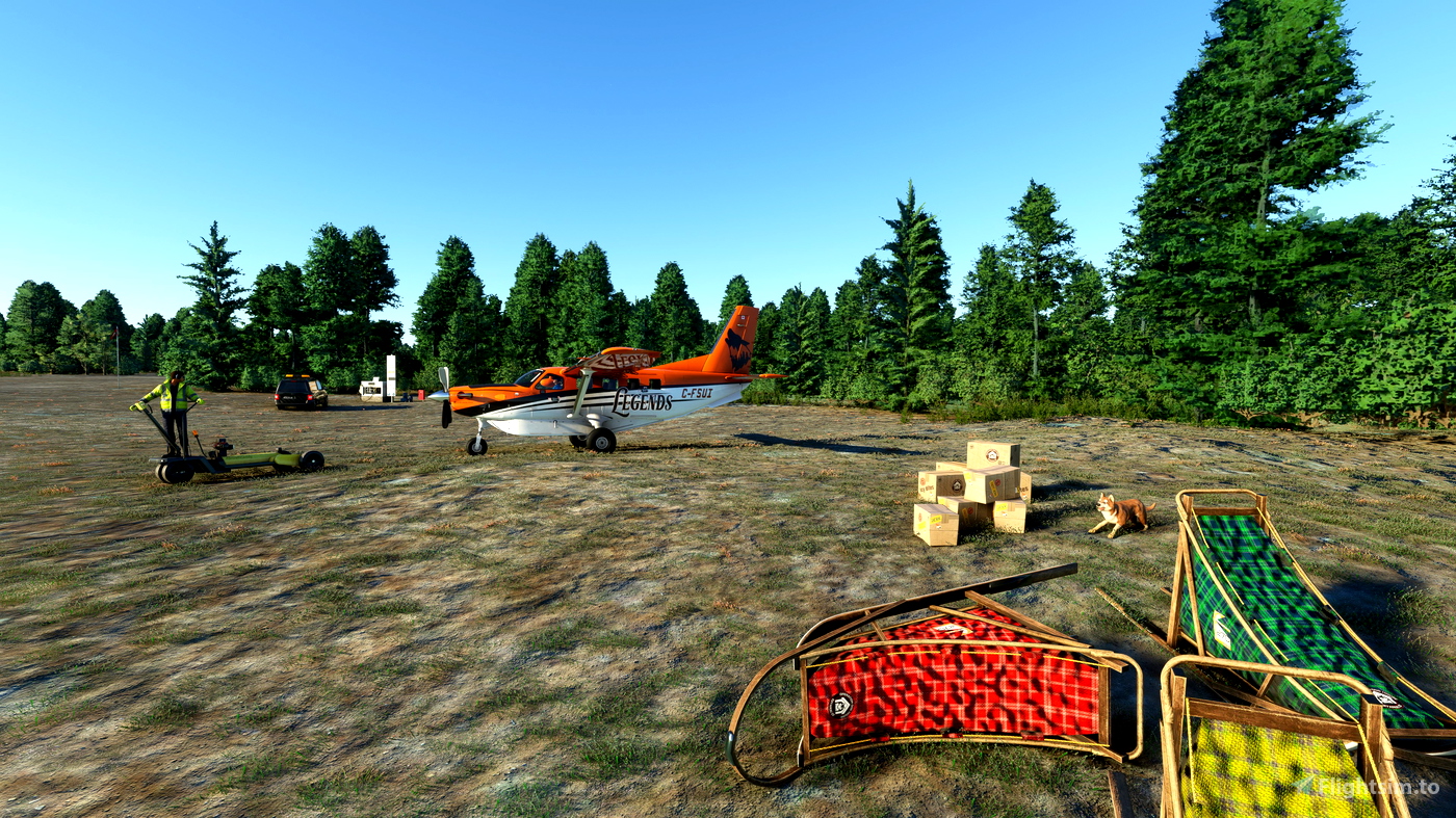 Skwentna airport (PASW) Alaska for Microsoft Flight Simulator MSFS