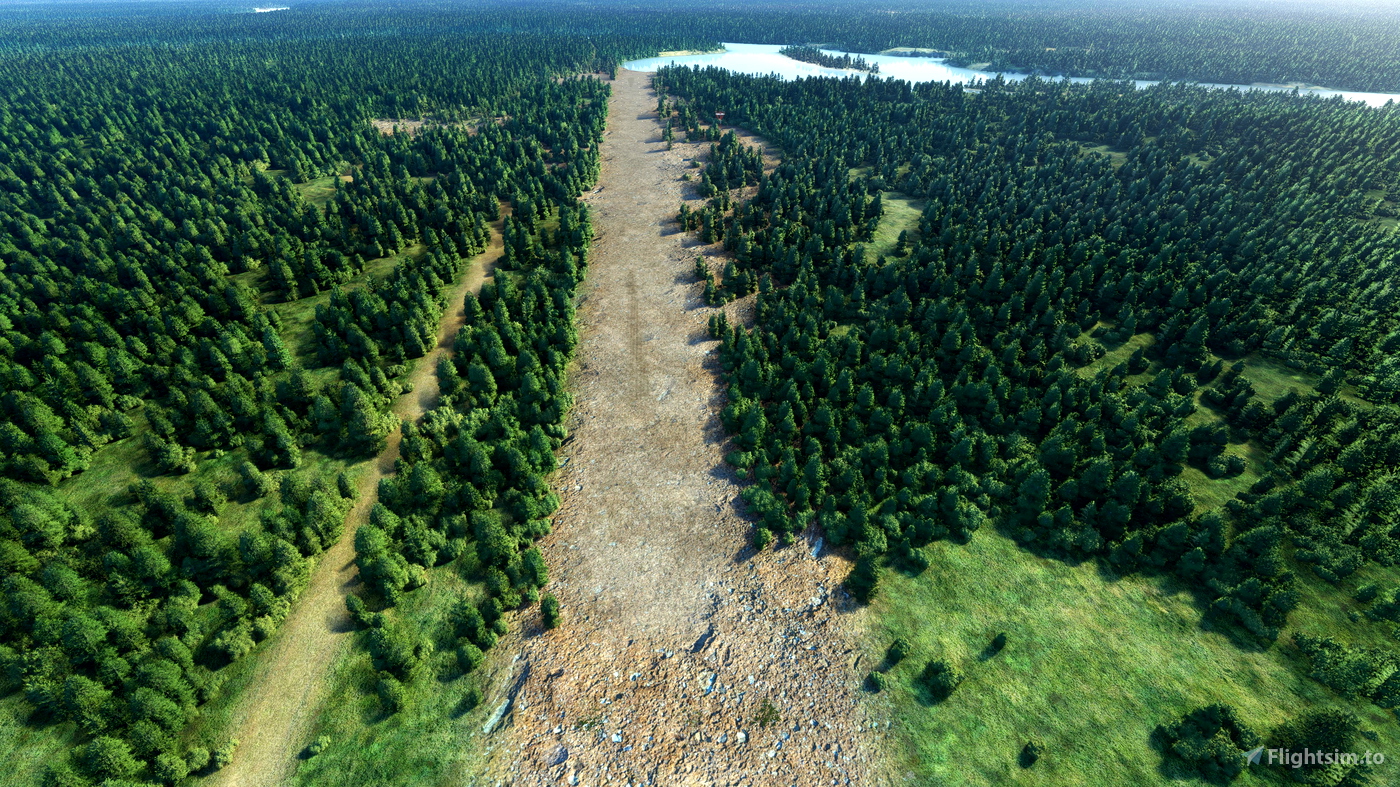 Skwentna airport (PASW) Alaska for Microsoft Flight Simulator MSFS