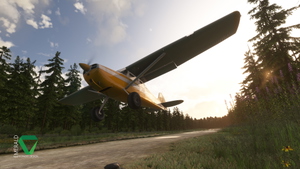 Snowflake Lake Airstrip, Alaska thumbnail 6