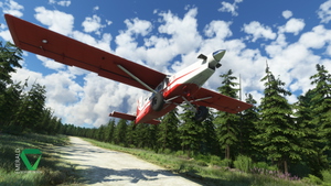 Snowflake Lake Airstrip, Alaska thumbnail 8
