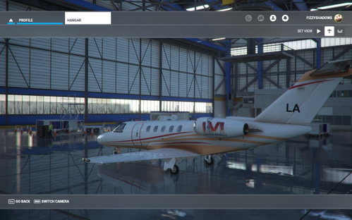 Super Bowl LVI Livery