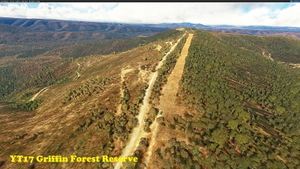 Tasmania Missing Airfields thumbnail 11