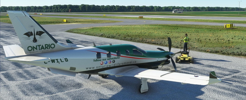 TBM 930 Ontario Wildlife Removal 