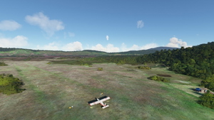 The Missing Koiari (Kokoda Track) Bush Strips thumbnail 7