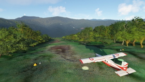 The Missing Koiari (Kokoda Track) Bush Strips thumbnail 4