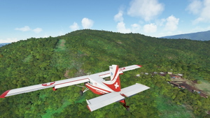 The Missing Koiari (Kokoda Track) Bush Strips thumbnail 5