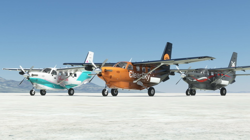 The Skypark Livery Pack - Kodiak 100