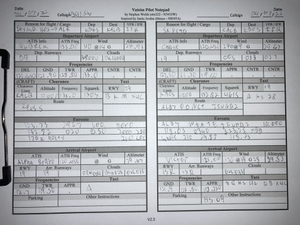 Vatsim Pilot Notepad thumbnail 2