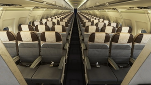 [4K] ETIHAD livery for FENIX A320 thumbnail 5