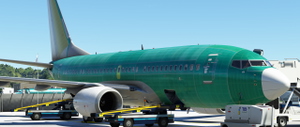 737-700 Factory Roll out livery thumbnail 11